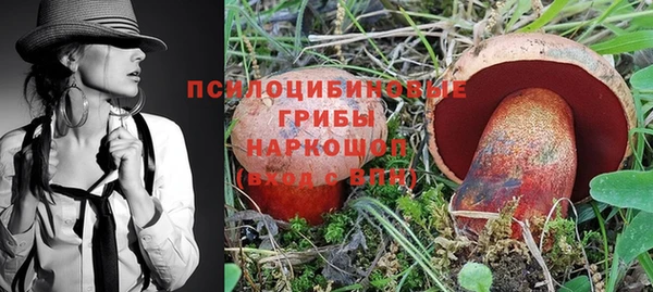 шишки Алексеевка