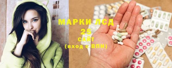 шишки Алзамай