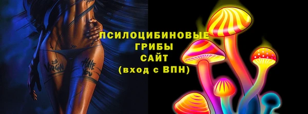 шишки Алзамай