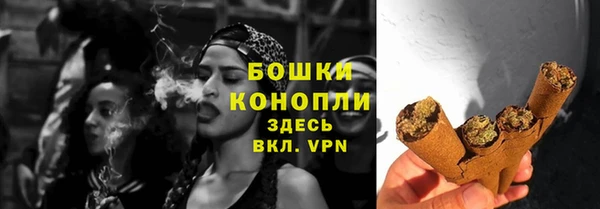 шишки Алзамай