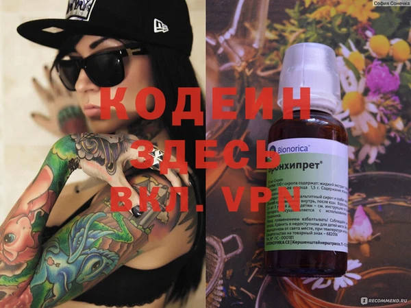 шишки Алзамай