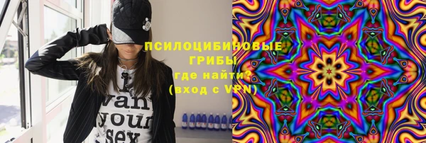 шишки Алексеевка