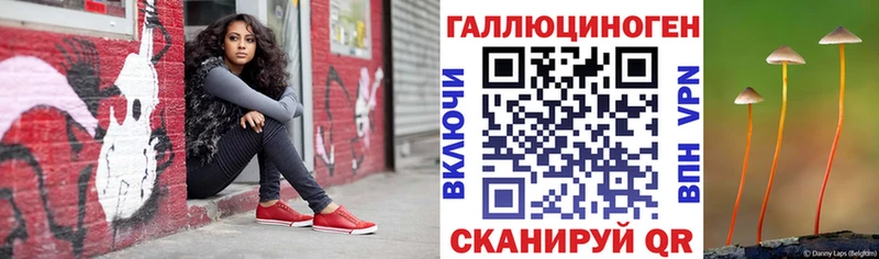 где продают   Кострома  Псилоцибиновые грибы Psilocybine cubensis 